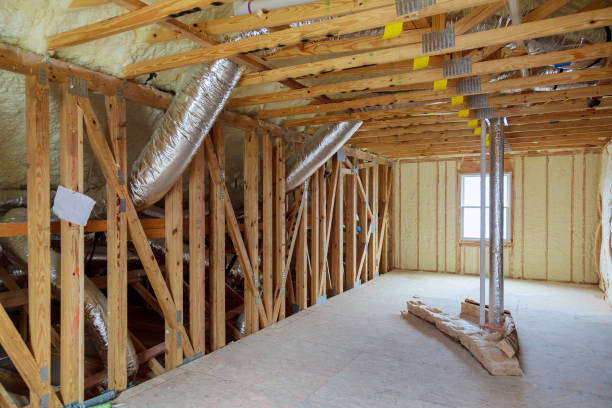 Best Insulation Replacement Services  in Catawba, SC