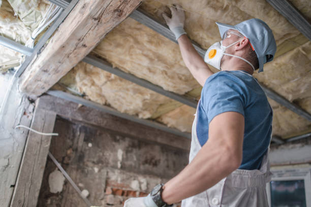 Best Energy-efficient Insulation  in Catawba, SC