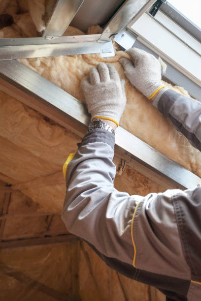 Best Insulation for New Construction  in Catawba, SC