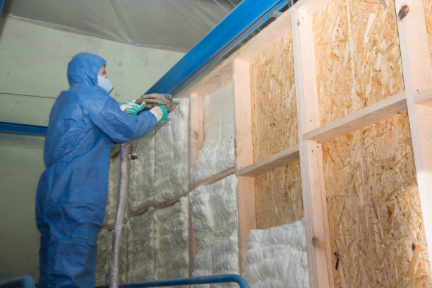 Best Crawl Space Insulation  in Catawba, SC